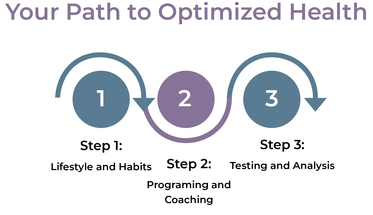 philosophy-diagram-path-optimized-health